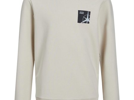 Jack & Jones Junior Moonbeam Filo Collegegenser Hot on Sale