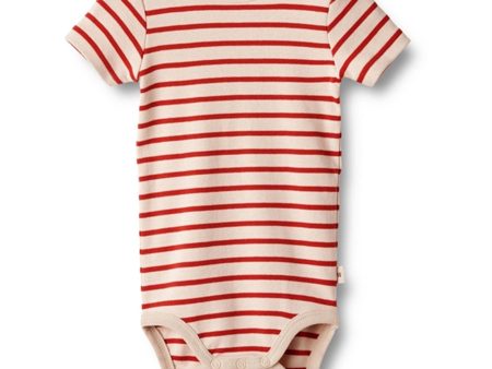 Wheat Red Stripe Body Edvald Online Sale