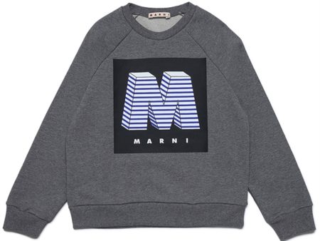 Marni Medium Gray Collegegenser Discount