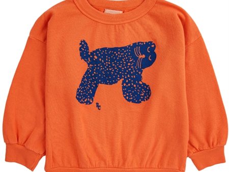 Bobo Choses Big Cat Collegegenser Round Neck Orange Online Hot Sale