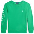 Polo Ralph Lauren Boy Collegegenser Tiller Green Online Hot Sale